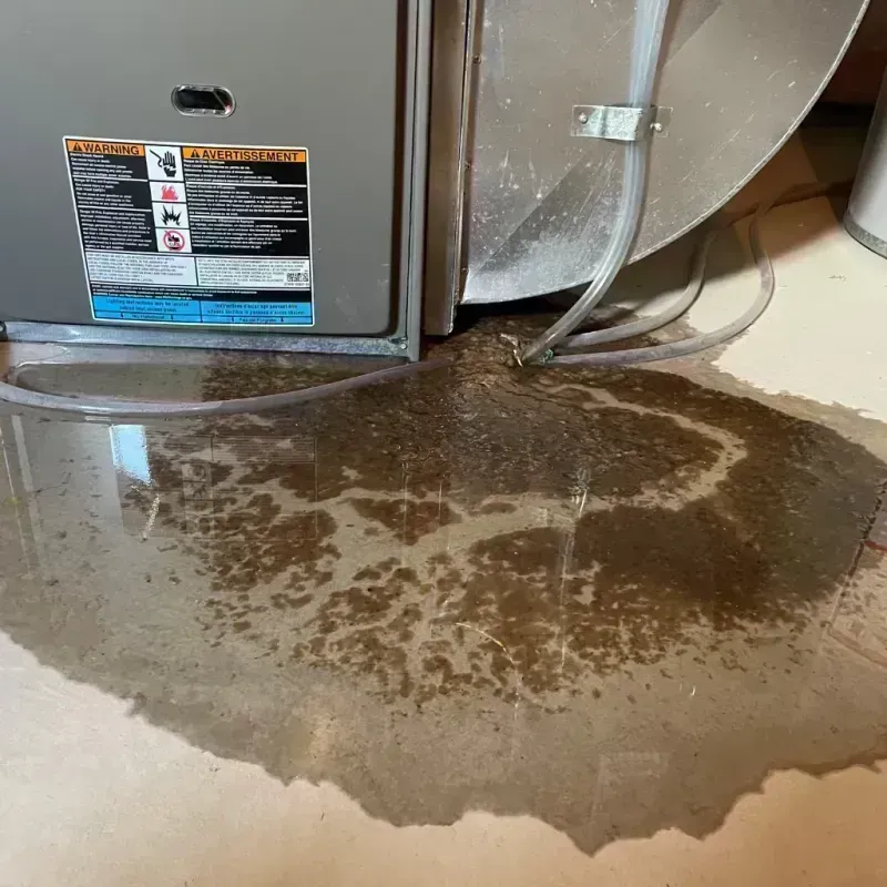 Appliance Leak Cleanup in Gasconade County, MO