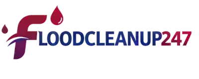 FloodCleanup247 Logo